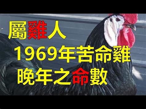 1969年屬雞運勢|【1969 屬雞 運勢】1969屬雞人解密2024年運勢全面解。